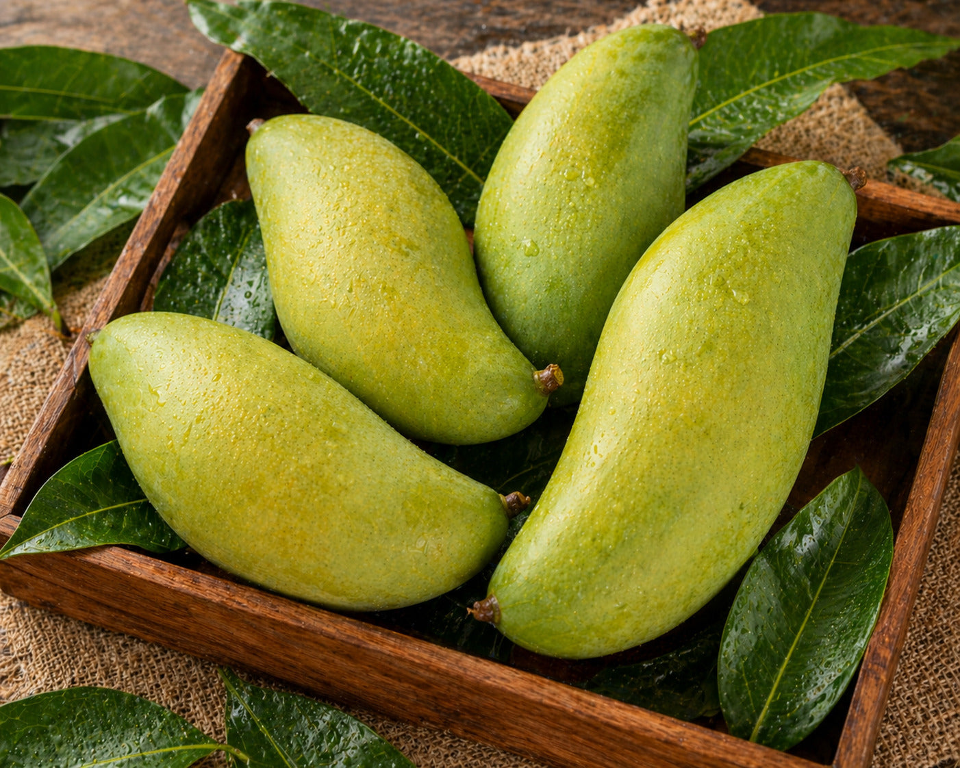 Totapuri Mango